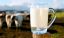 Продам Фермерское молоко коровье