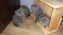 Продам Голубые британские короткошерстные котята